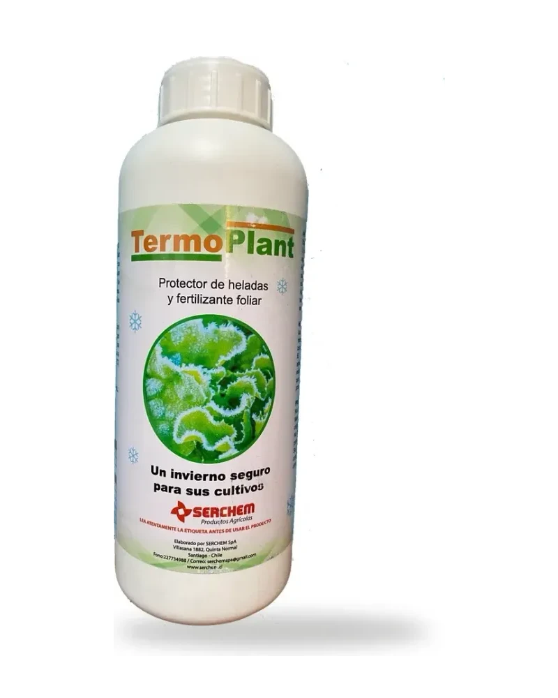 Termoplant